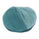 Lang Yarns MERINO+ COLOR 18