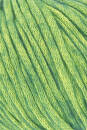 Lang Yarns NEON 88