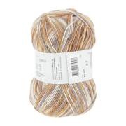 Lang Yarns SUPER SOXX COLOR 4-FACH 295