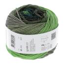 Lang Yarns MERINO 120 DÉGRADÉ 2